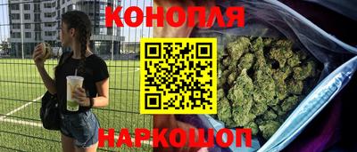 гидра Краснокаменск