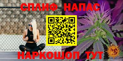 стафф Краснодар