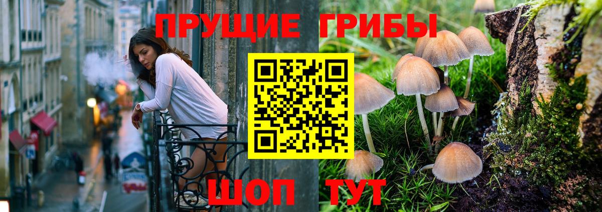 Псилоцибиновые грибы ЛСД Заволжье