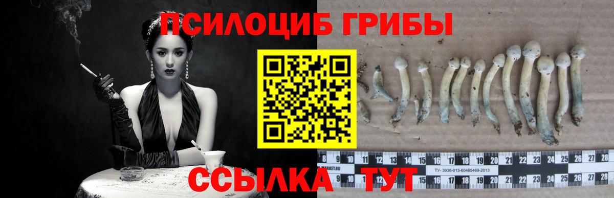 Псилоцибиновые грибы Magic Shrooms  Псилоцибиновые грибы Magic Shrooms  Заволжье  Вход с VPN 